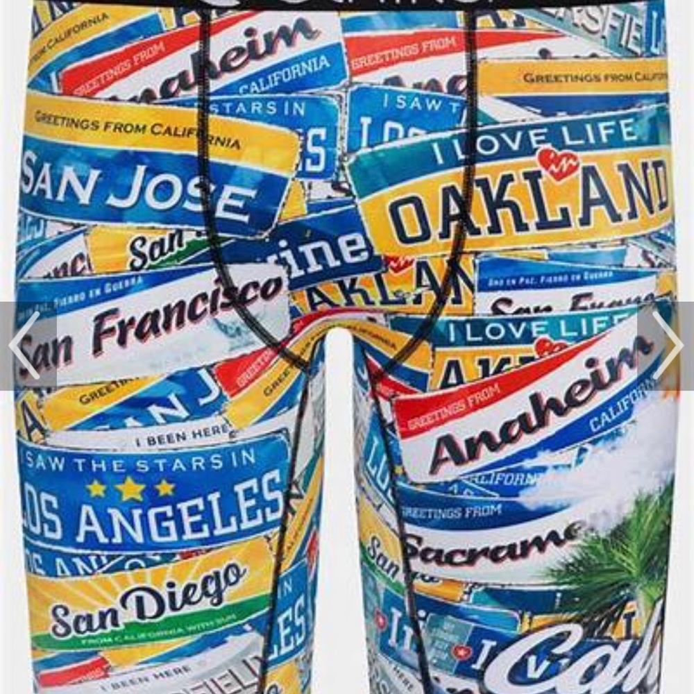 NWT Ethika Mens L boxer brief in Cali Love